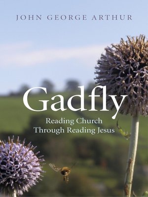 cover image of Gadfly